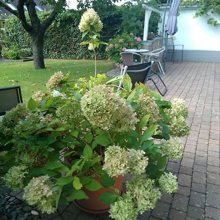 Ferienwohnung Kirschblüte Billigheim-Ingenheim Exterior foto
